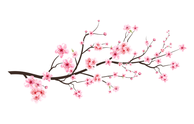 cherry-blossom